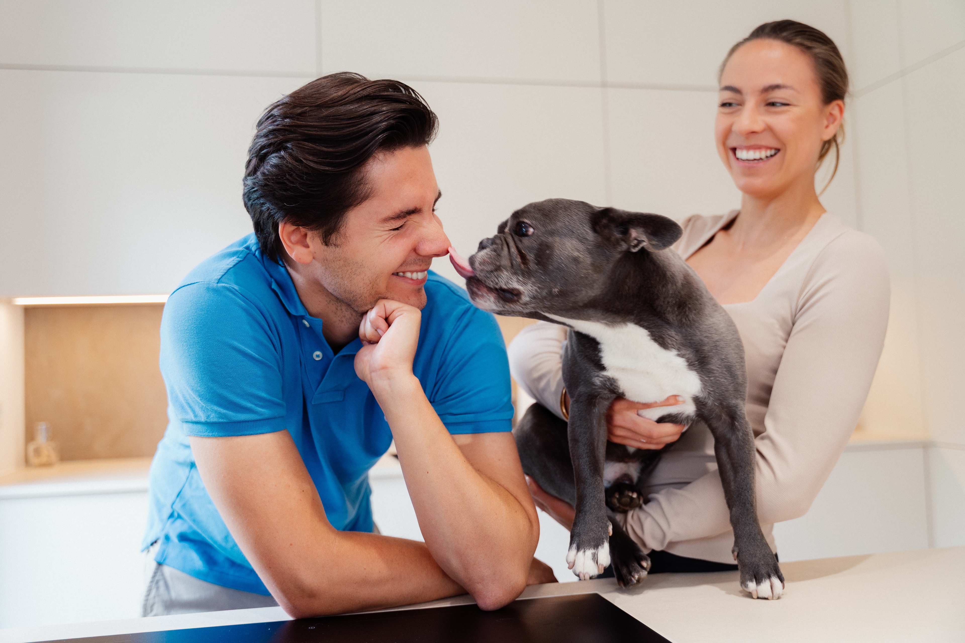 Zwei Personen in heller Küche; Frau hält eine französische Bulldogge, die dem lachenden Mann über die Arbeitsplatte zuschnuppert