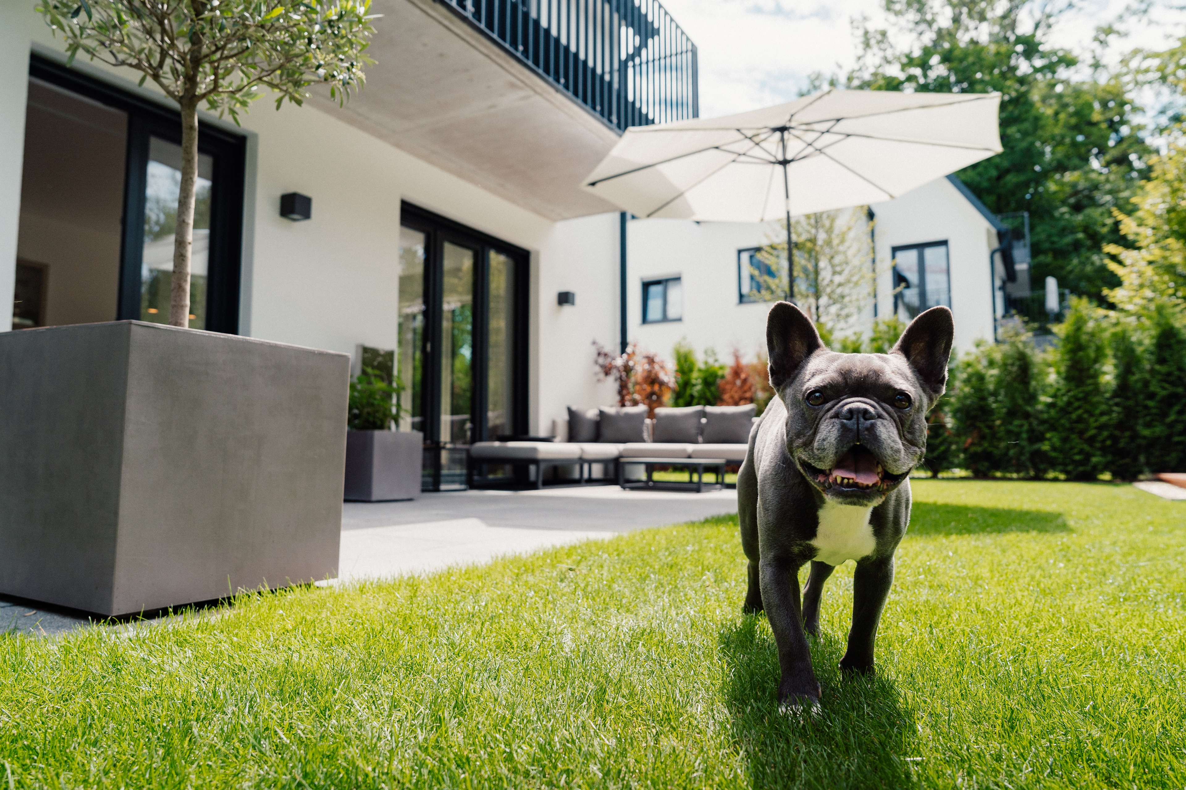 Smartkonzept GmbH - Ihr Immobilienpartner